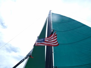 P4095452     