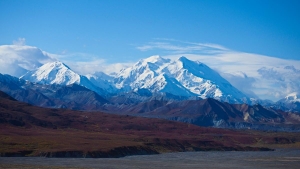 Denali National Park