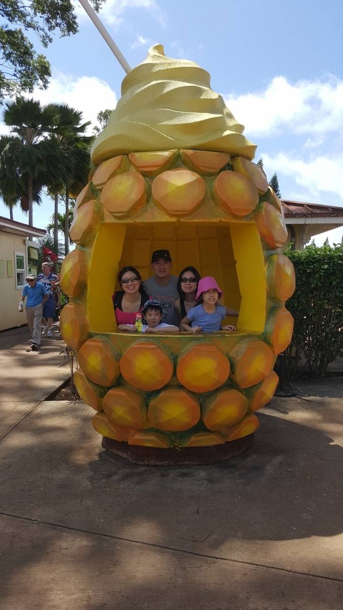 The big Pineapple 