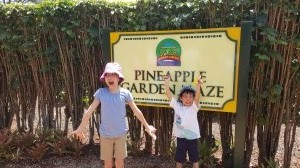 Worlds Biggest Maze! 
