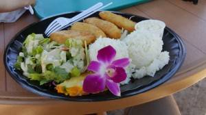 Fish for Lunch 