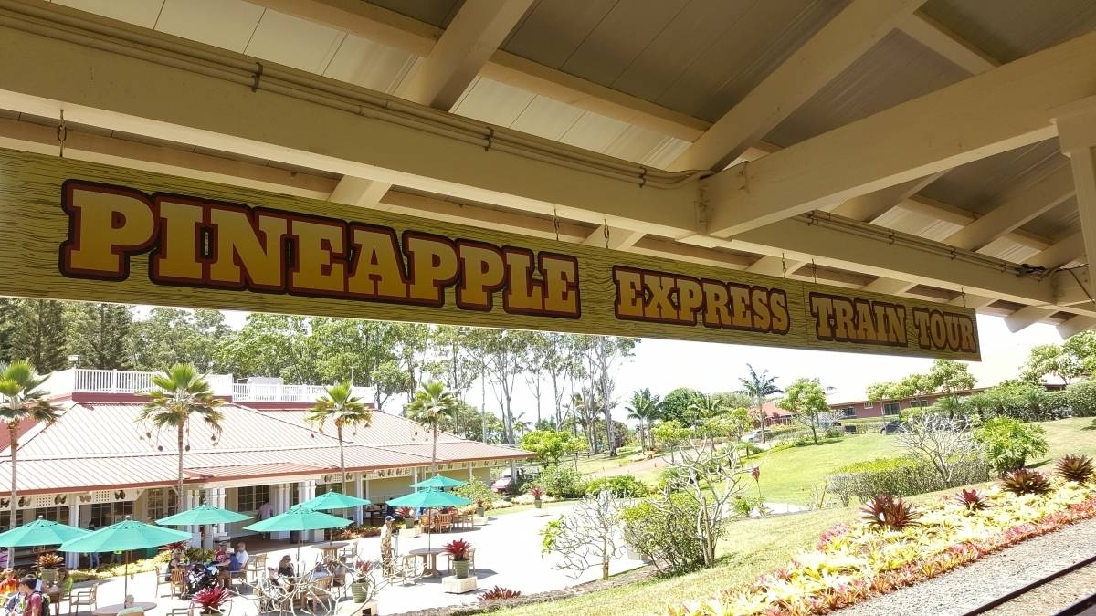 The Pineapple Express 