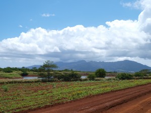 P4084557