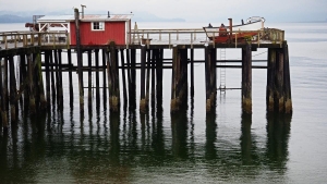 Icy Strait Point