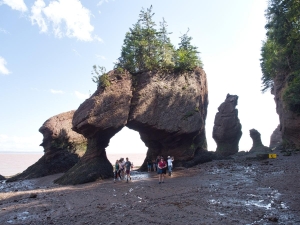 New Brunswick