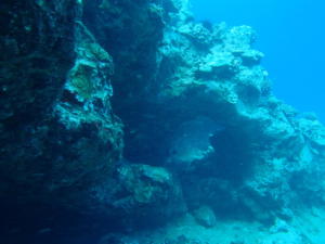 P4140162