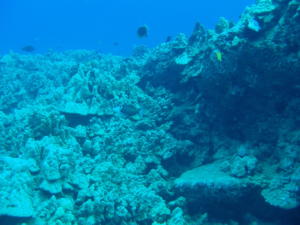 P4140167